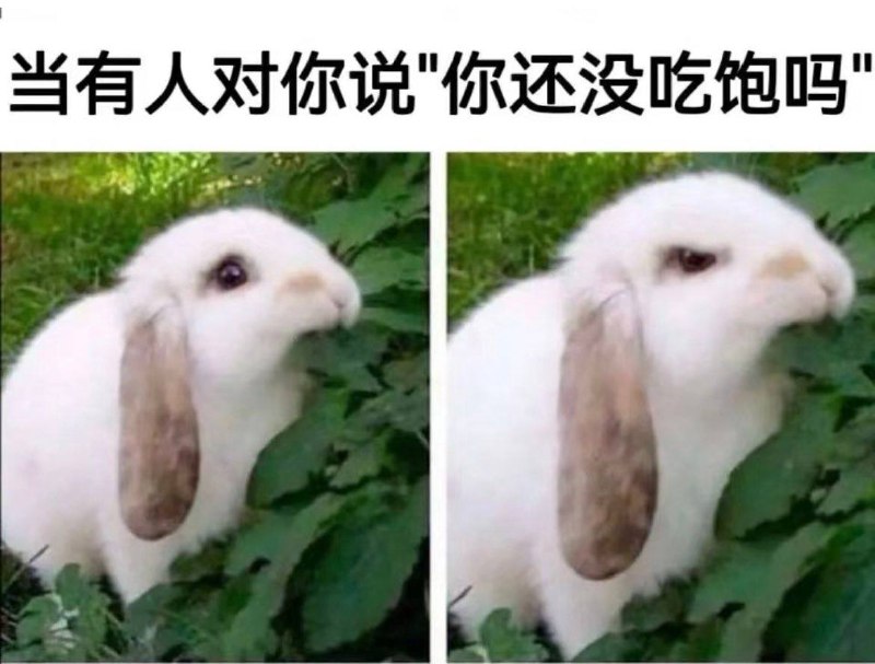 😡😡😡