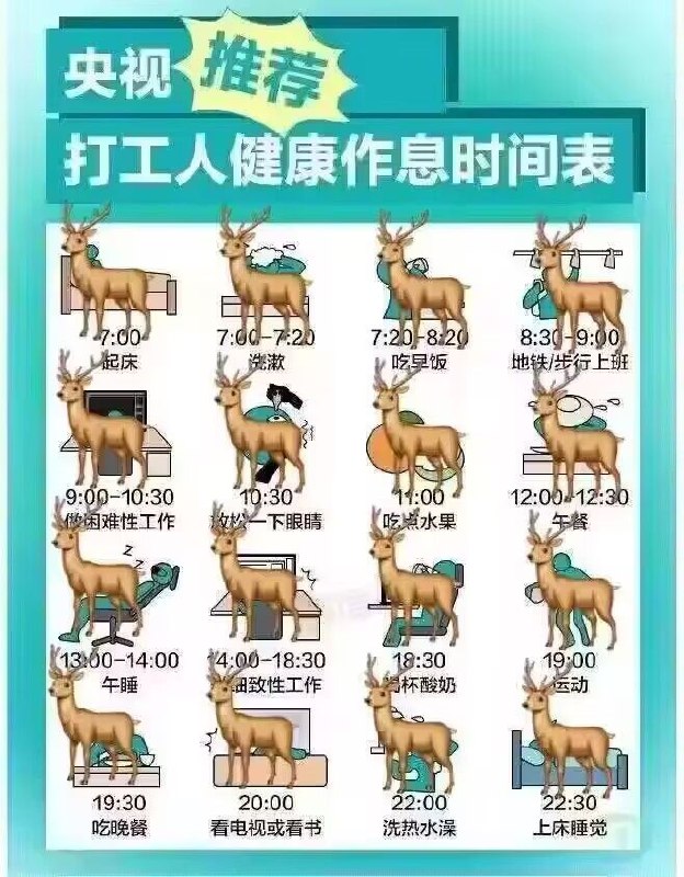 from 猫猫窝🐈🐈‍⬛from 猫猫窝🐈🐈‍⬛