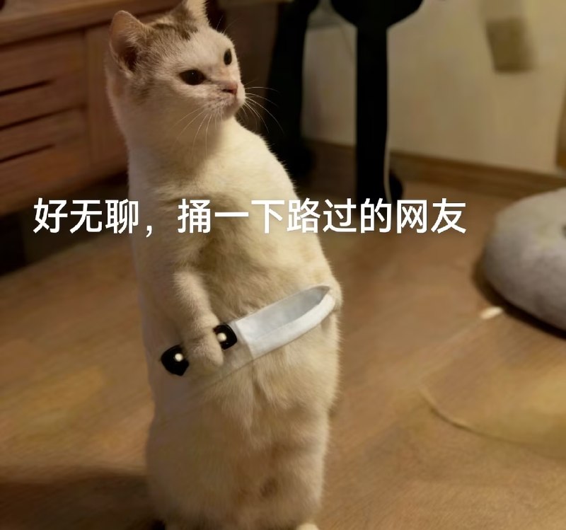 from ㅤ SpongeBob 绵鸣 Ⓥ