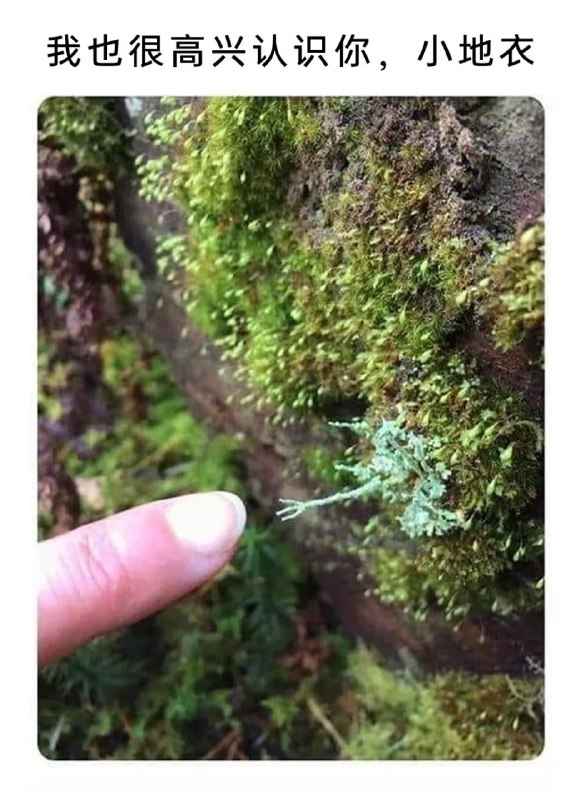 via 7号沙雕网友