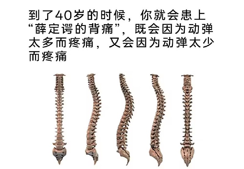 via 7号沙雕网友