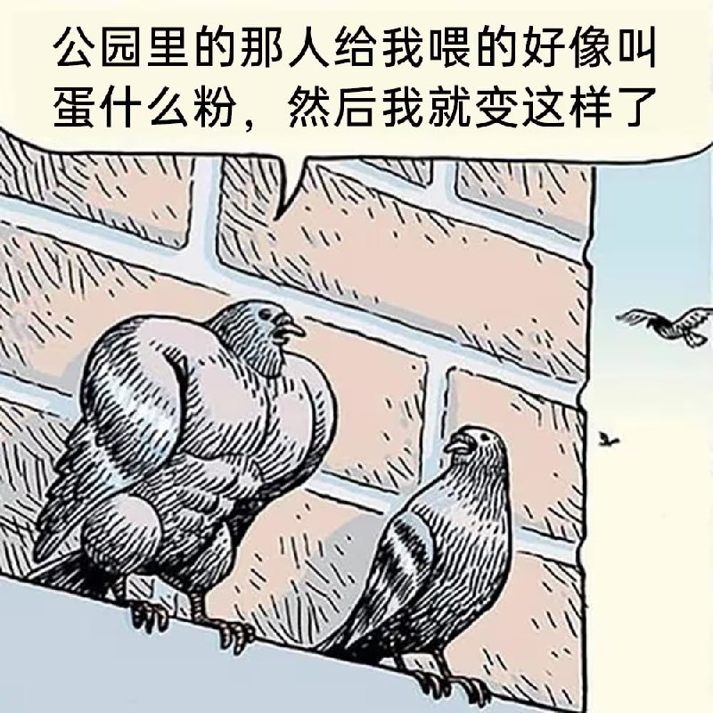 via 8号沙雕网友