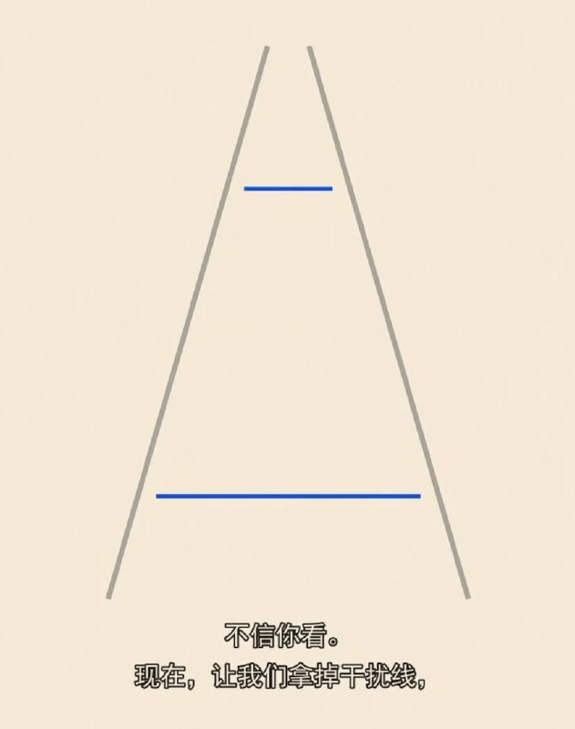 from 橘橘橘子汁 & 🍊from 橘橘橘子汁 & 🍊