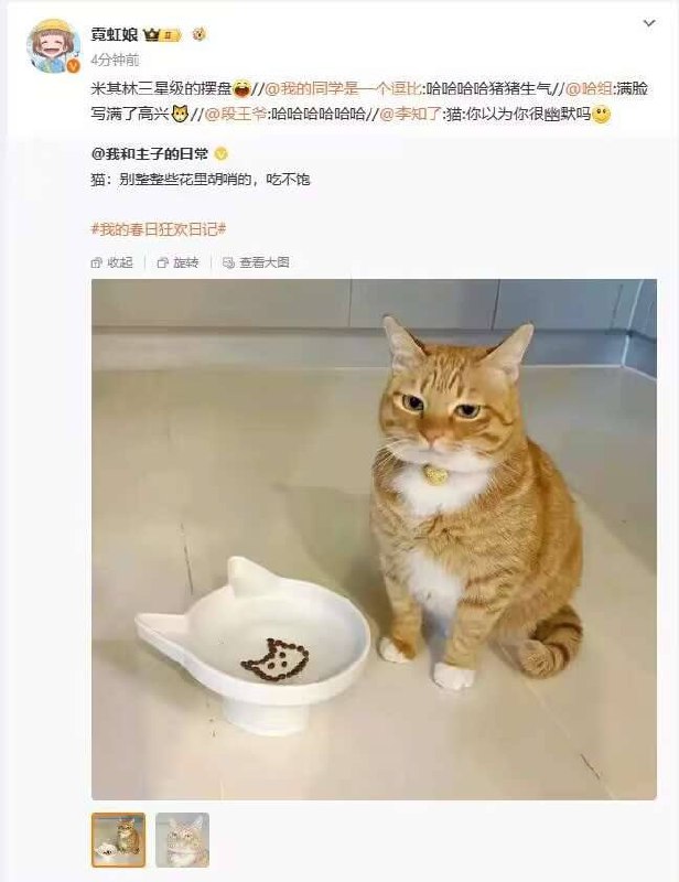 from 猫猫窝🐈🐈‍⬛️