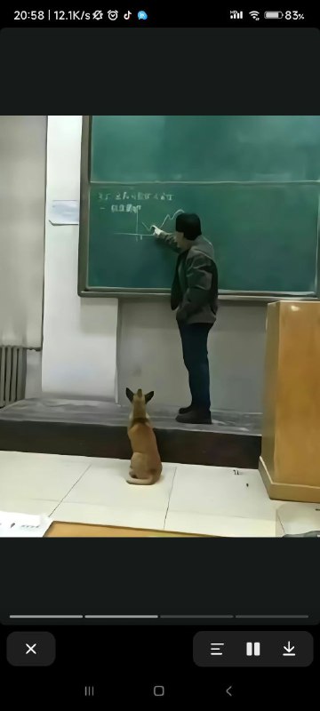 via Hibichannvia Hibichann