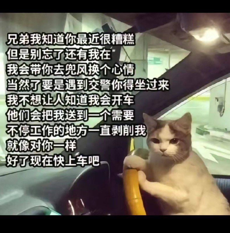 via 犯罪嫌疑人张某