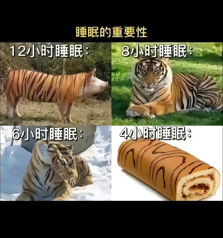 from 今日份的豆酱
