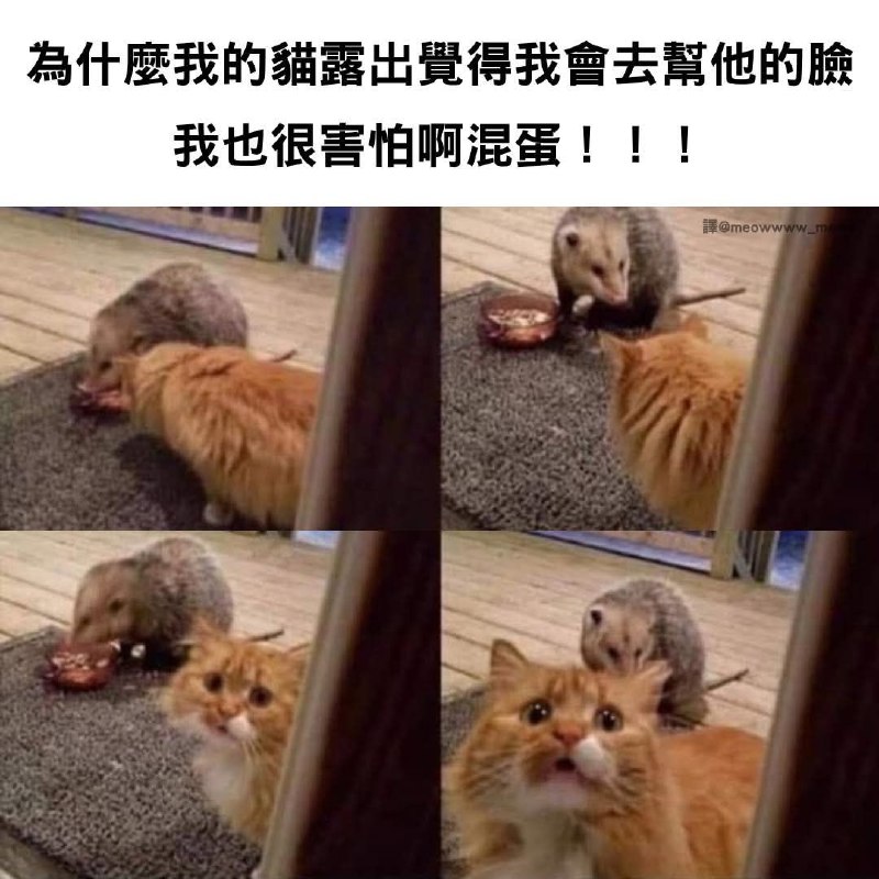 from 什麼都來點 via DECADE