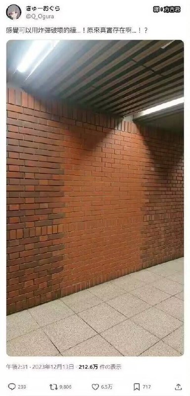 from 猫猫窝🐱