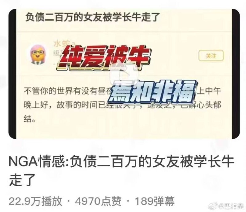 ？！牛牛？！