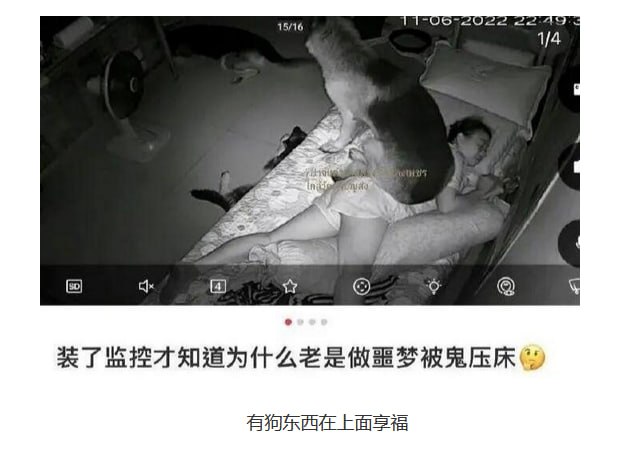 via 6号沙雕网友