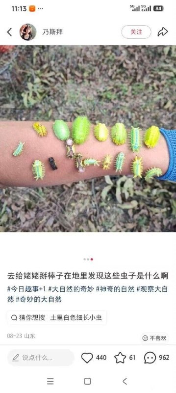 via 8号沙雕网友