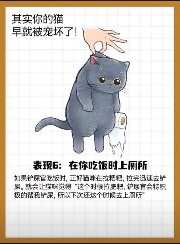 from 猫猫窝🐈🐈‍⬛from 猫猫窝🐈🐈‍⬛