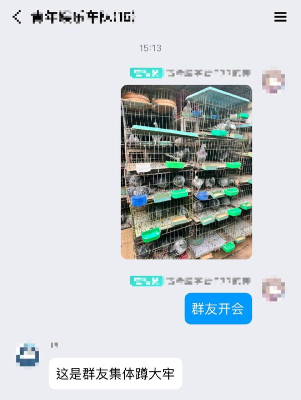 群友集体坐牢via 睡不醒的狐瓜西群友集体坐牢via 睡不醒的狐瓜西