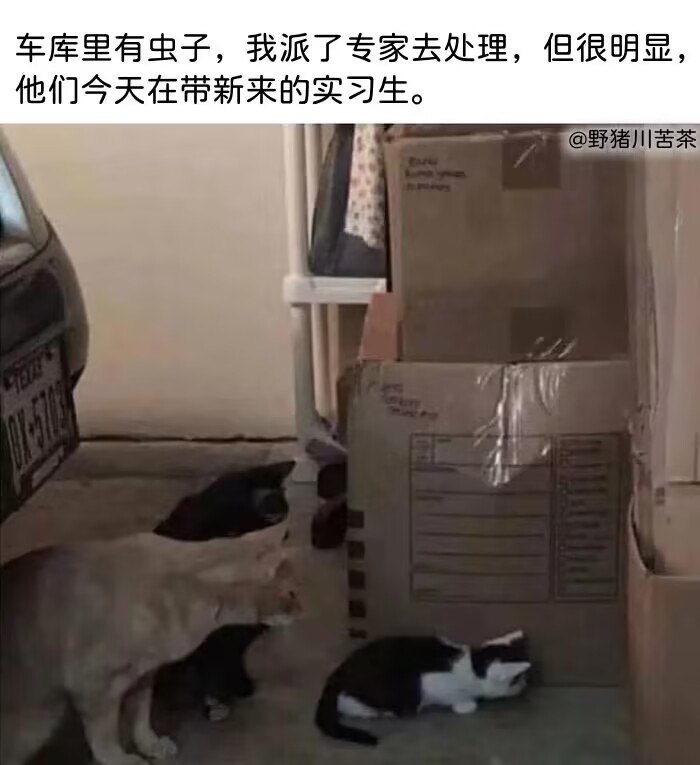 from ⚠️ 美图与沙雕 ⚠️ via Xx Xx