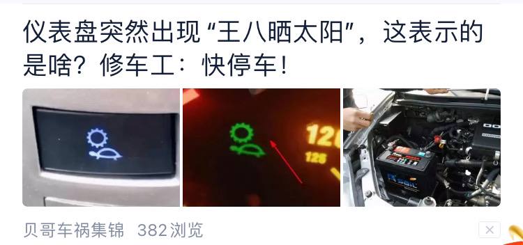 王八晒太阳via 御坂云见 #17535