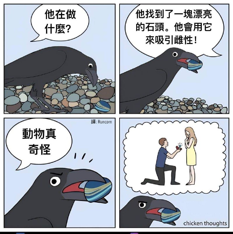 from 什麼都來點 via DECADE