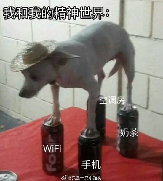 via 7号沙雕网友