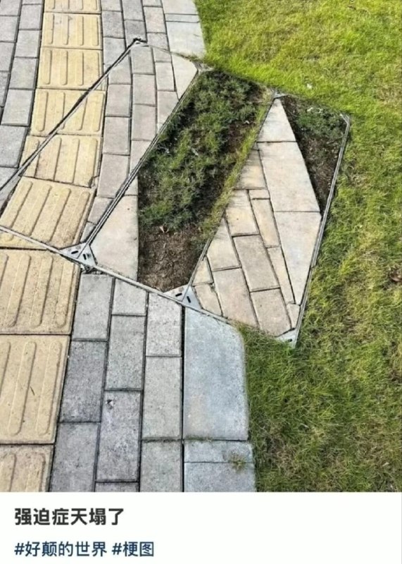 via 薯条