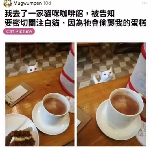 via 6号沙雕网友