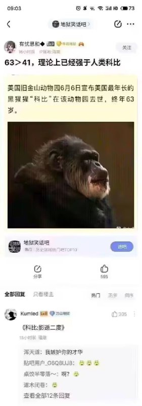 via 6号沙雕网友