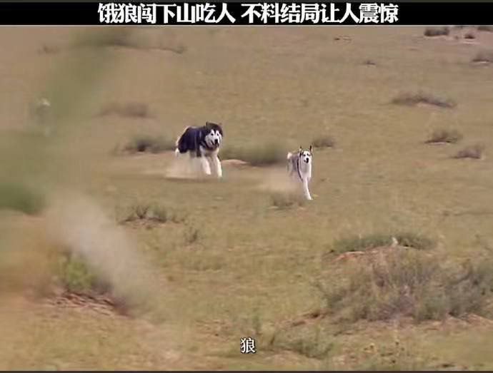 via 君生我未生，我生君已老