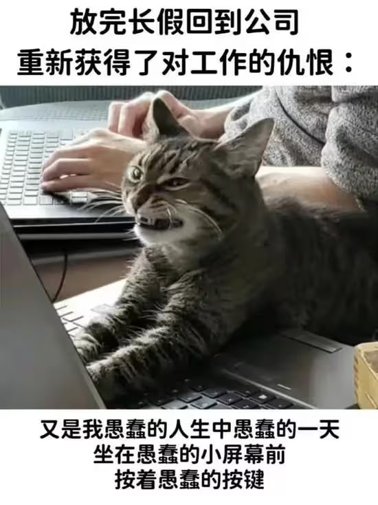 via 6号沙雕网友