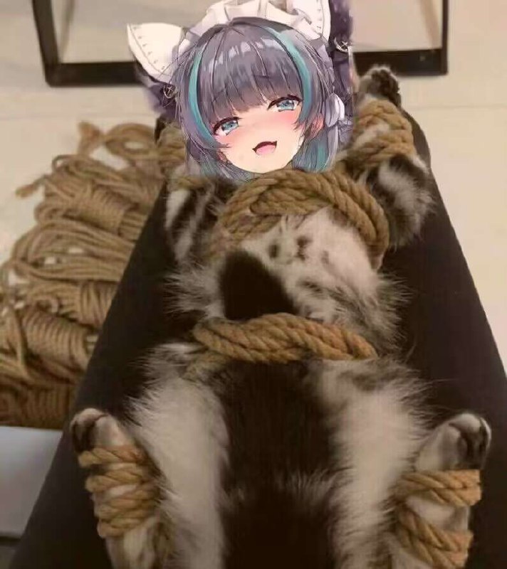 from TG空间 🚫NOAD via efsg