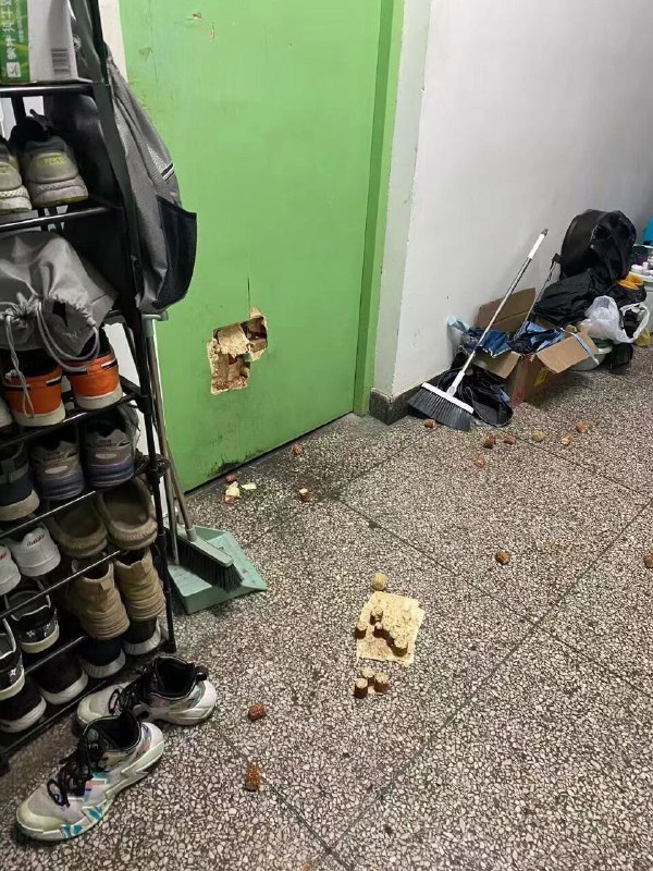 via 君生我未生，我生君已老