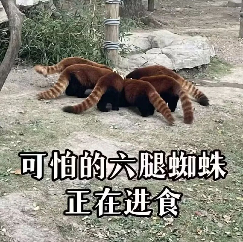 via m yyfrom 心惊报 via efsg