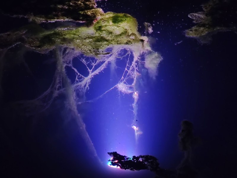 路过一个水池，发现射灯附近有一些絮状水藻，看起来像星云via 霁寒霄路过一个水池，发现射灯附近有一些絮状水藻，看起来像星云via 霁寒霄