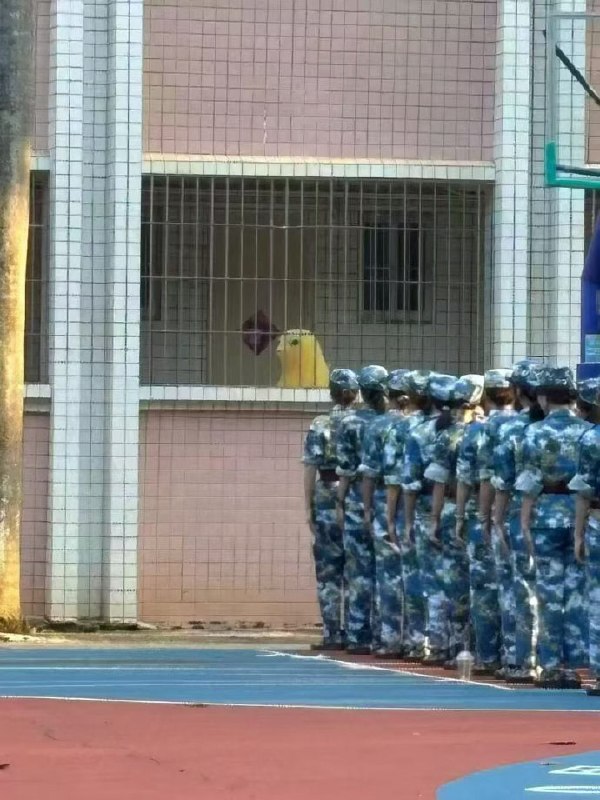 这谁绷得住啊……😅from 平壤卫视这谁绷得住啊……😅from 平壤卫视