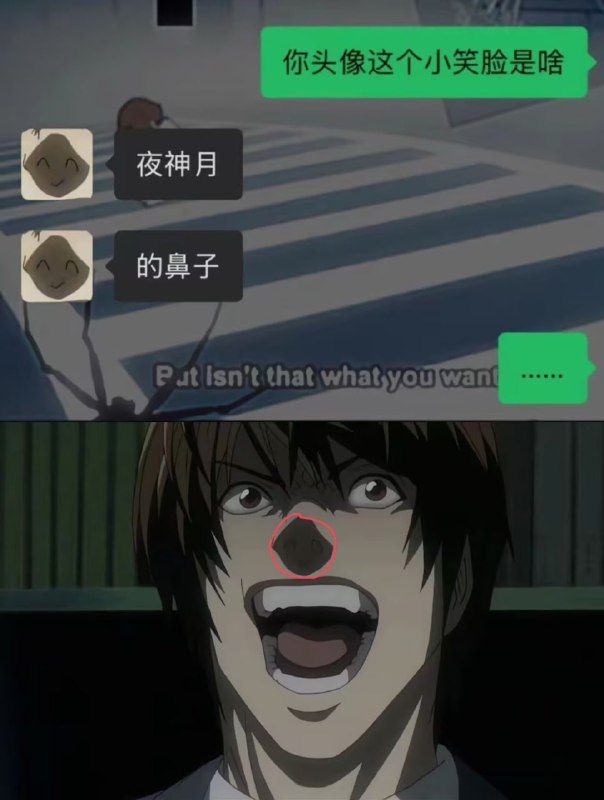 艹from 平壤卫视