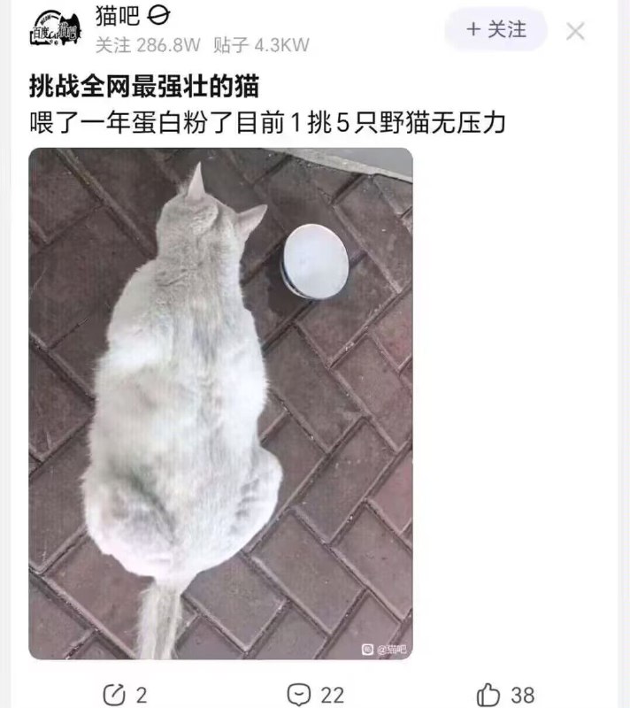 from 二刺猿日常 · 便利屋68