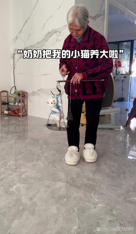 from 💈就在这理发店💈from 💈就在这理发店💈