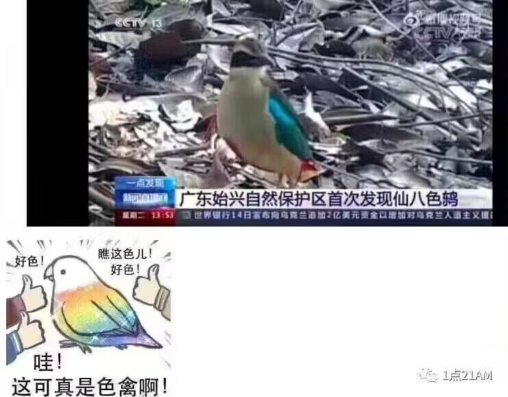 from 美图与沙雕