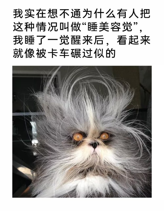 via 7号沙雕网友