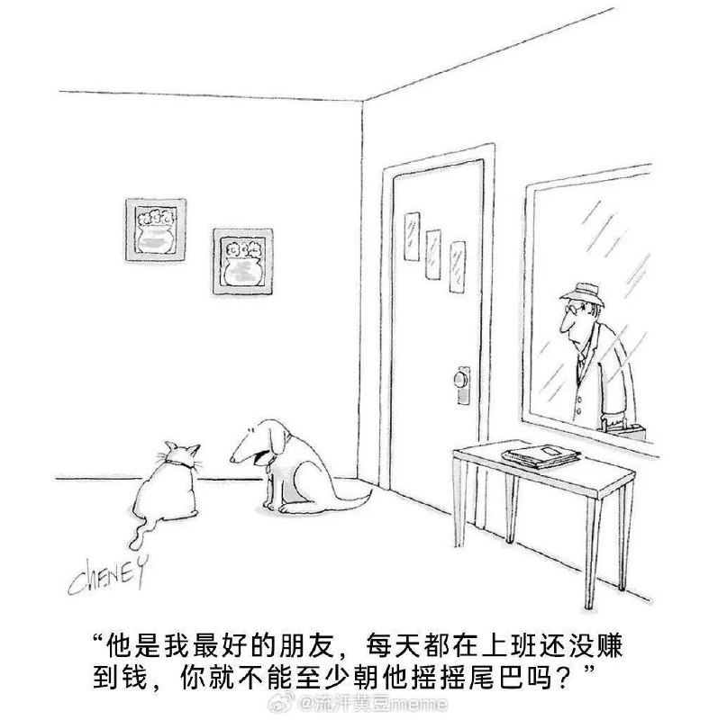 via 猫又云云
