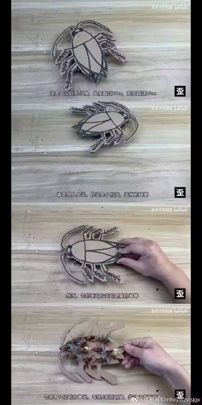 生物动力