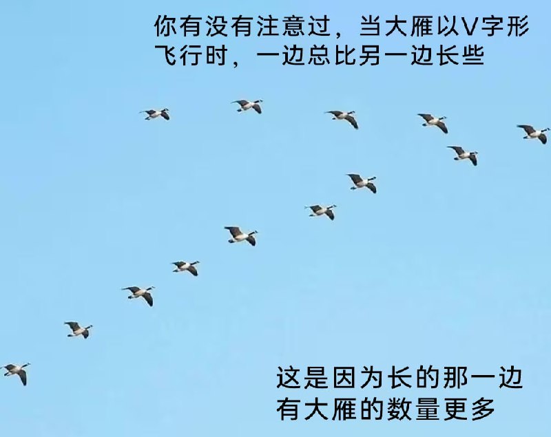 via 7号沙雕网友