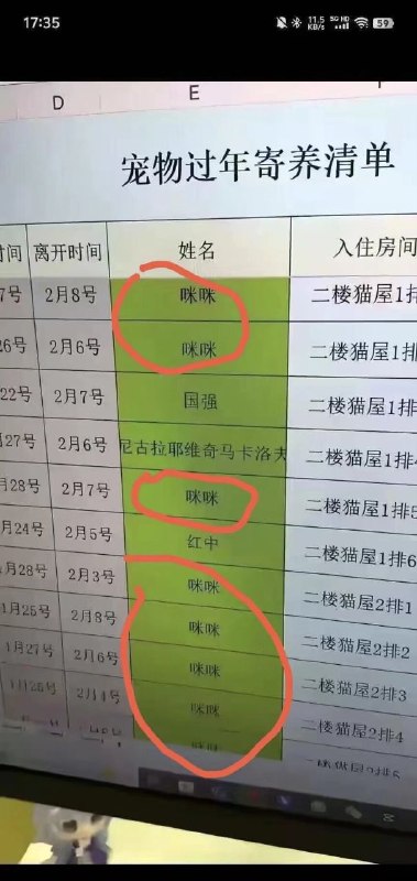 给猫猫取名还是多思考思考比较好，太容易重名了