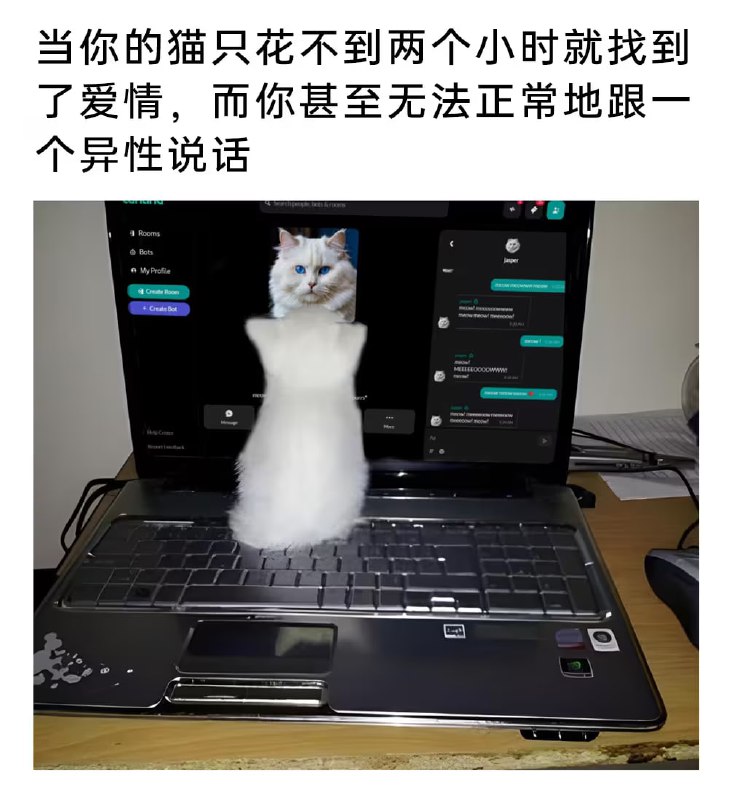 via 6号沙雕网友