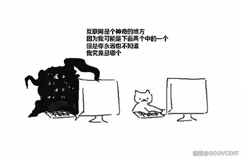 from 猫猫窝🐱
