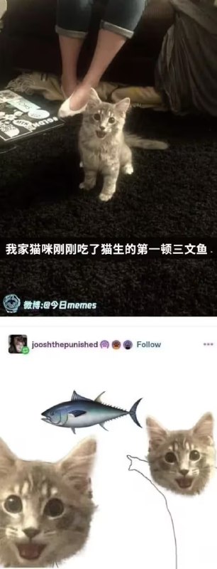 via 6号沙雕网友