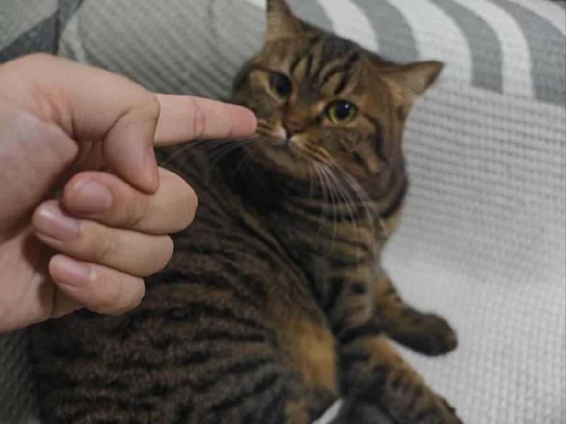 from Anzu什么都发 via electrifrom Anzu什么都发 via electri