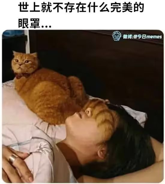 via 6号沙雕网友