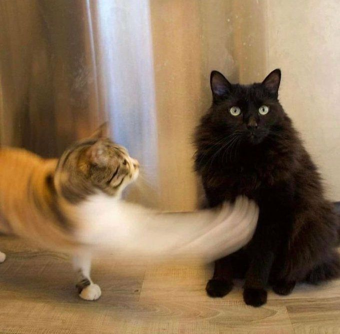 右勾拳！