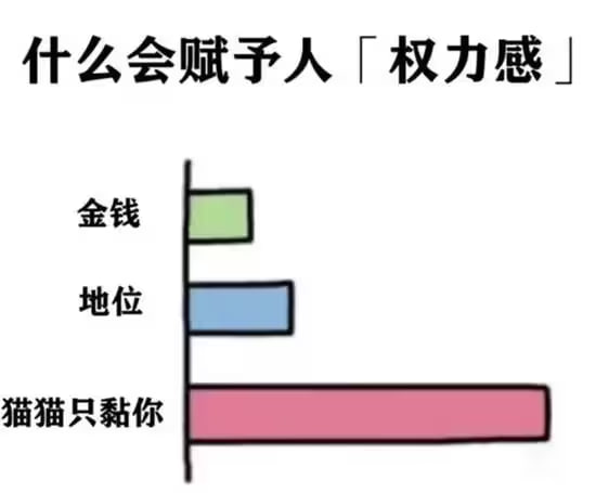 via 7号沙雕网友