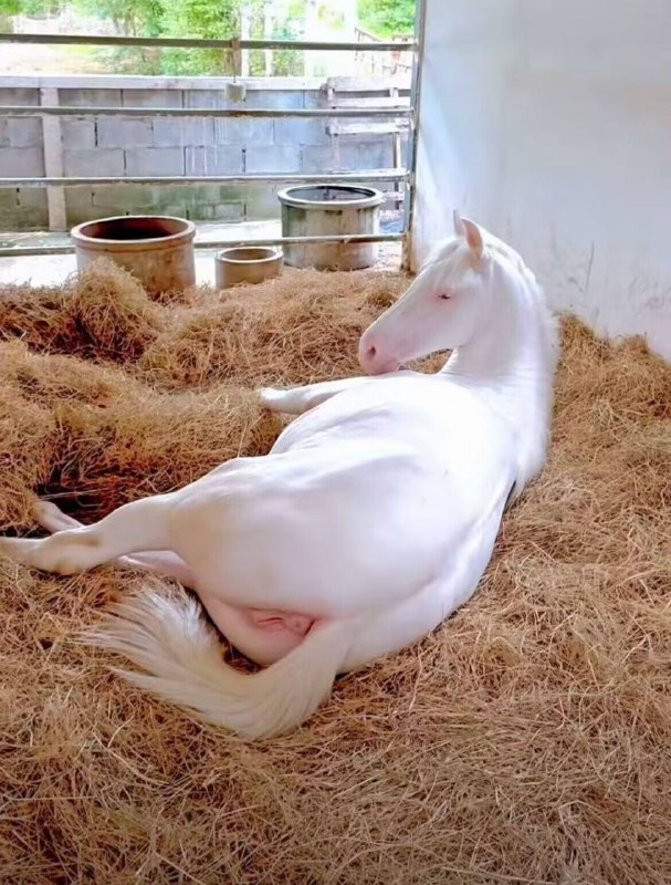 via my nbklsvia my nbkls