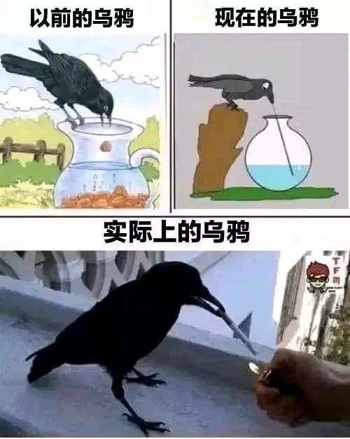 via 每天只睡23h